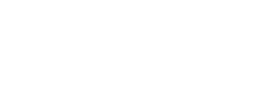 GSS — Global Synergies Solutions